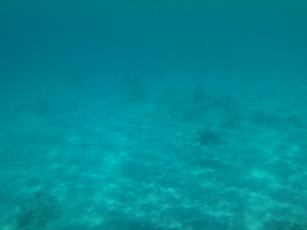Wera Beach Kadumbul Exterior photo