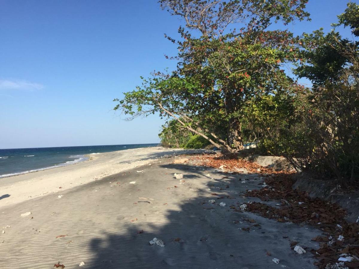 Wera Beach Kadumbul Exterior photo