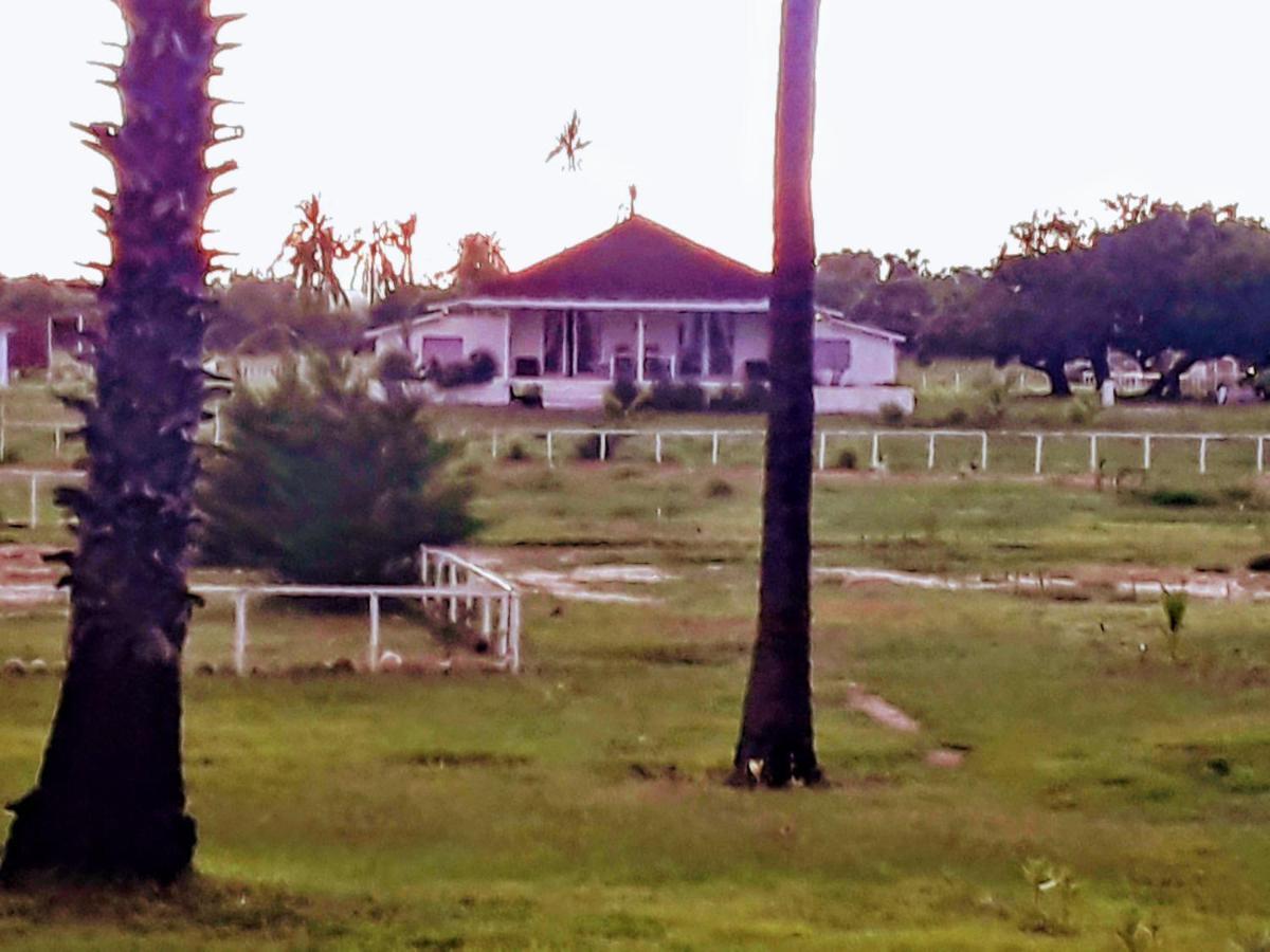 Wera Beach Kadumbul Exterior photo